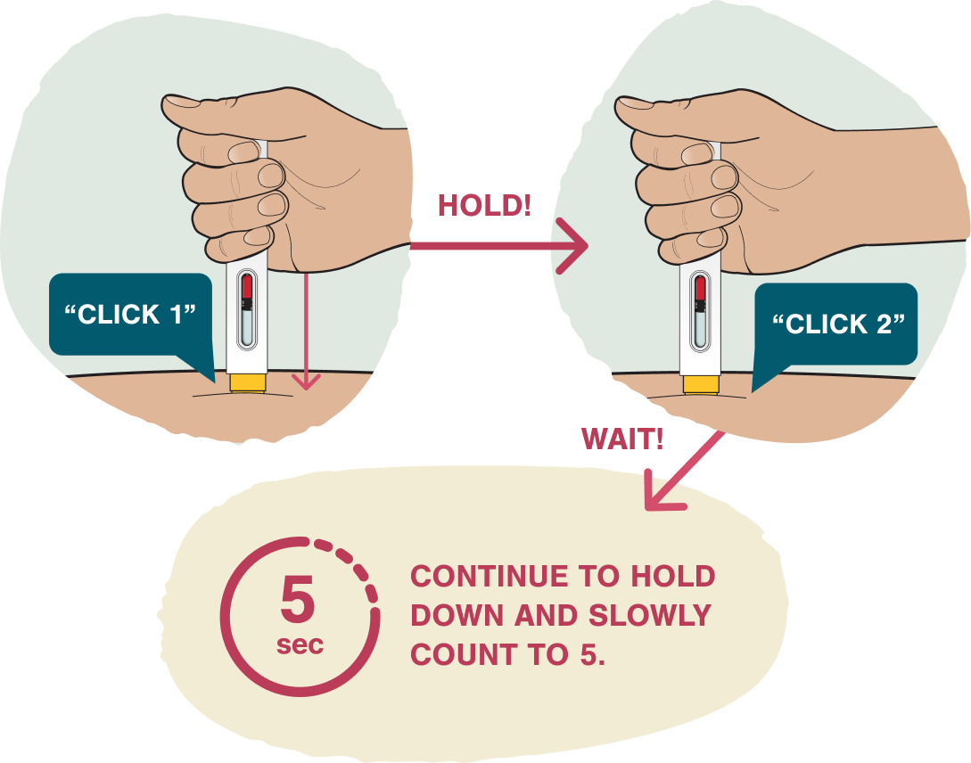 Illustration of Zembrace SymTouch pressed against injection site with Click 1, Click 2 and 5 second hold